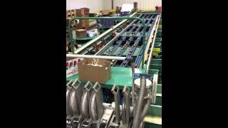 Sigma Packaging B8282 Durand Wayland Apple Grading and Sortation Line