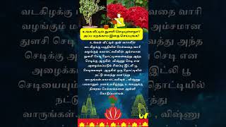 உங்க வீட்டில் துளசி செடியுள்ளதா #  TulsiVastuTamil #  Vishnuflowerplant#ஆன்மீகதகவல்