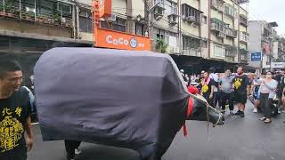 【台北城飛龍團-鬥牛陣】~111新北青龍太子宮青龍太子滿載南巡進香回駕遶境