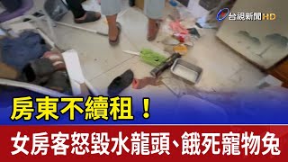 房東不續租！ 女房客怒毀水龍頭、餓死寵物兔