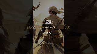 #surahtoba #quranictranslation #quranicverses #ayat #islamicvideo #quranic_queen