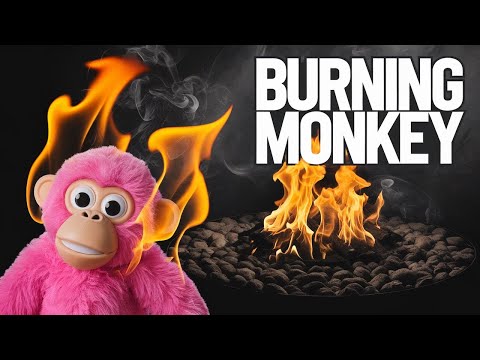 The Naughty Pink Monkey Plays With FIRE