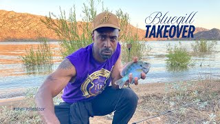 Big Bluegill Takeover at Lake Perris | East End of the Lake | Good Times #theFitRealtor
