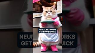 Neural networks get stupid quick | New Technology | PRO Robots
