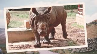 Mysore Karnataka Heritage and Zoo