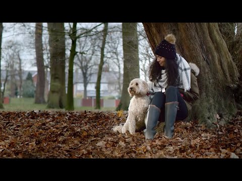 Product Branding TV Commercial for Harringtons Dog Food - 30 second edit