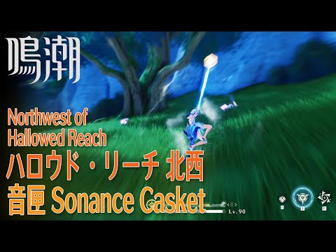 【鳴潮】音匣/リナシータ/ハロウド・リーチ北西 [Sonance Casket,northwest of Hallowed Reach,Rinascita,Wuthering Waves,38023]