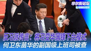反习派传言：将习近平变华国锋下台模式！海军被陆军查抄，何卫东苗华的副国级上司查后回家；习近平会见外企名单曝光；中国偶得大外宣IShowSpeed | 华尔街论坛（李其、晓洋、何频）