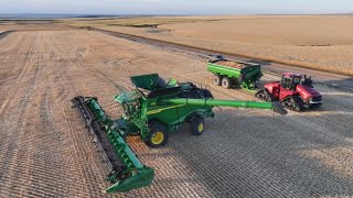 A Change In Plans (that NEVER happens during harvest 😂) - 2025 Highwood, MT Harvest (3)