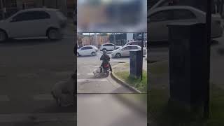 Stray Dog Jumps on Scooter — Finds a New Owner Instantly!