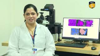 RSC Applied Interfaces – hear from our authors