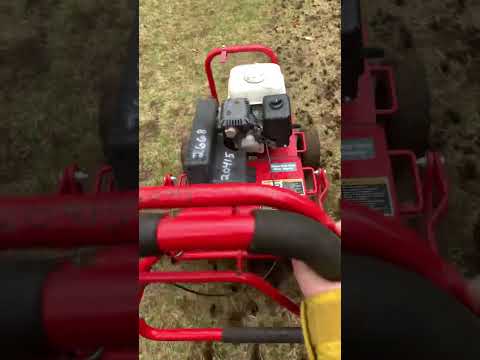 Lawn restoration project part two ￼