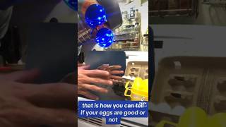 Egg Float Test Pt 6