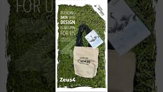 We are Zoho CRM Certified Canvas Artisans