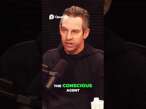 Free Will - Are We Just Puppets?