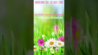 TUESDAY TIP OF THE DAY  #tuesday #tuesdaymotivation #tuesdaytips #tuesdaytip #tuesdayremedies
