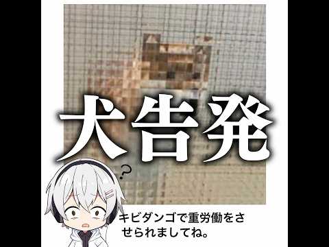 【モザイク貫通】殿堂入りボケてがマジでツッコミどころ満載だったwww【1533弾】