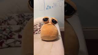 #pou never left pou #poustory