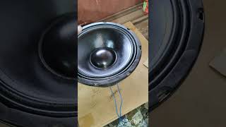12Inch 800watt Speakers Review And testing #pasystem #soundsystem #djset #djsetup #
