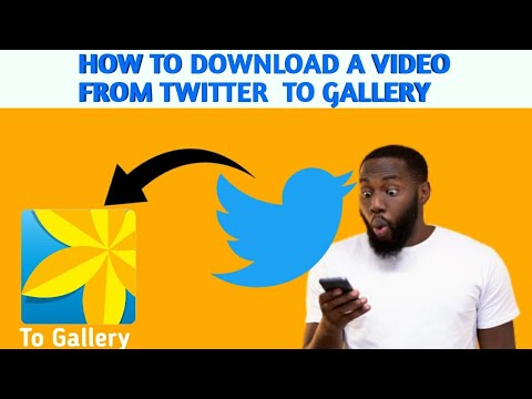 How to download a video from twitter to Gallery