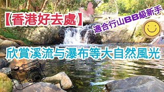 【香港好去處】沿途欣賞溪流、瀑布等大自然風光，BB級新手都可以享受行山的樂趣！