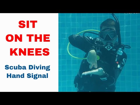 Sit On Your Knees - Scuba Diving Hand Signal