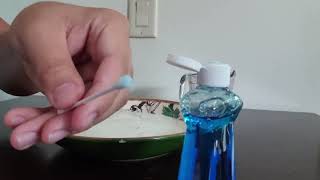 STEM  Magic Milk