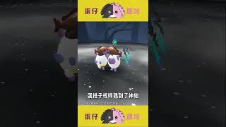 友尽地图《100%公平的擂台赛》