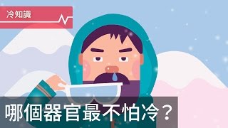 身體哪個器官最不怕冷？