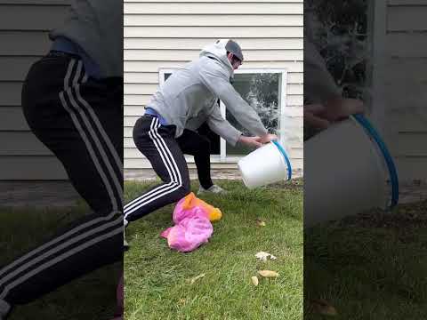 If Cleaning Was a Timed Sport  Part 2