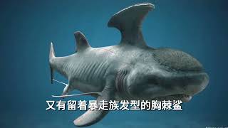 海南最好的水族馆？ 亚特兰蒂斯失落的空间水族馆！ 自然奇境科普季   三亚 银鲛亲子玩乐季 亚特超级暑假2024