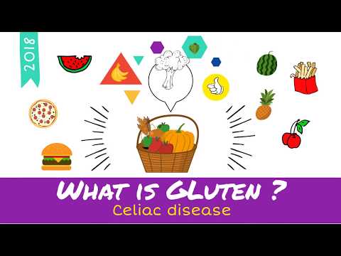 What is Gluten - Quick Intro