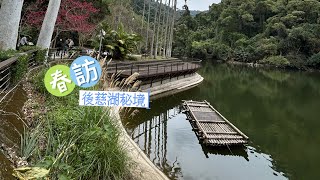 年初七春訪：後慈湖秘境巡禮 Back Cihu in Taoyuan