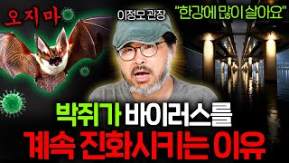 박쥐는 왜 바이러스에 감염되지 않을까? (사기급 진화..) | 과학 정모 EP.38