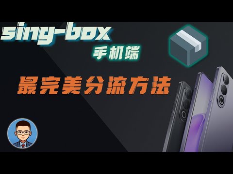 原来手机端sing-box这么强，小白轻松分流和DNS设置！知道这个方法后，我手机删掉了v2ray、clash、nekobox等所有工具！