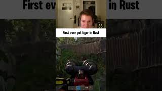 First ever pet tiger in Rust #rust #rustshorts #rustconsole #rustupdate #rustvideos #rustpve