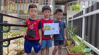 諾貝爾班花卉導覽-檸檬馬鞭草（吳芃頡、郭庭銨、黃彥喬）