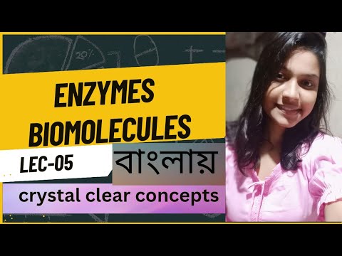 Enzymes part 01 l l Biomolecules LEC 05 l l class 11 biology