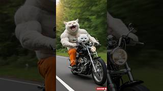 😼🧠Kitten Uses His Brain to Rescue Dad🤯🔥 #cat #catfunny #cartooncat #animation #supercattales