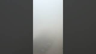 Fog covered Delhi NCR Zero Visibility #fog #delhi #winterspecial #india