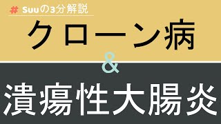 【3分医学】クローン病と潰瘍性大腸炎/消化器