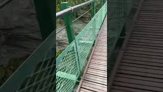 山風吊橋ㄧ號｜玉山國家公園 #Shorts