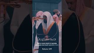 Bakara 249. Ayet #kuran #quran #ayet #allah #kurandili #tilawat #surah #tilavet #sabır