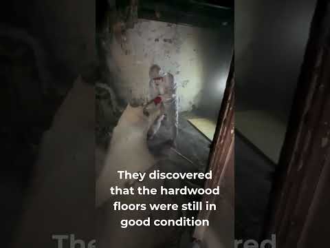 Incredible Progress Update! Bearsted Fire Restoration Community Project (Part 2)