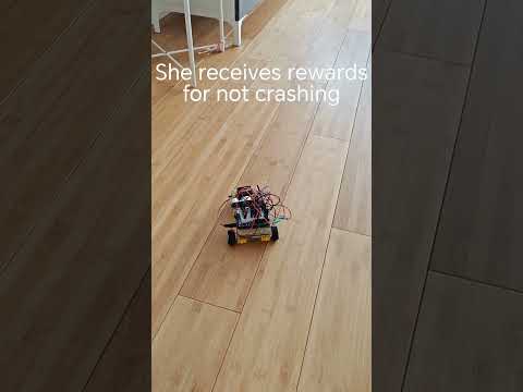 Imparerà da sola a guidare? #ai #arduino #reinforcementlearning