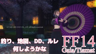 【FF14/FINAL FANTASY XIV】のんびりみんなと遊ぶ日！【GaiaDC/Tiamat】