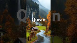Quran Urdu Translation #qurantilawat #qurantranslationhd #quranpak #qurantranslationinurduonly #fyp
