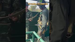 泰国人为啥这么害怕服兵役？ #泰国征兵抽签现场 #泰国 #泰国科普