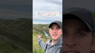 Cold plunging in Studlagil Canyon in Iceland #coldplunge #iceland #travelvlog #travel