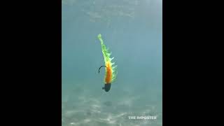 Rapala CrushCity The Imposter Underwater Action #shortsvideo #shorts